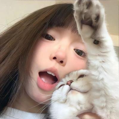 蓝百合海报