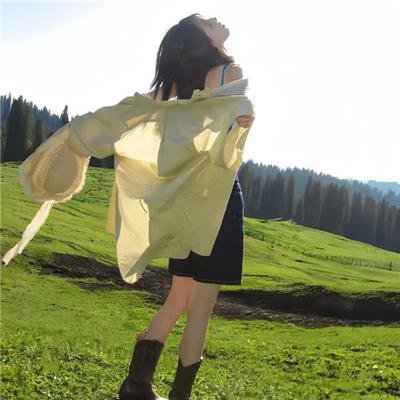 乱世英豪海报